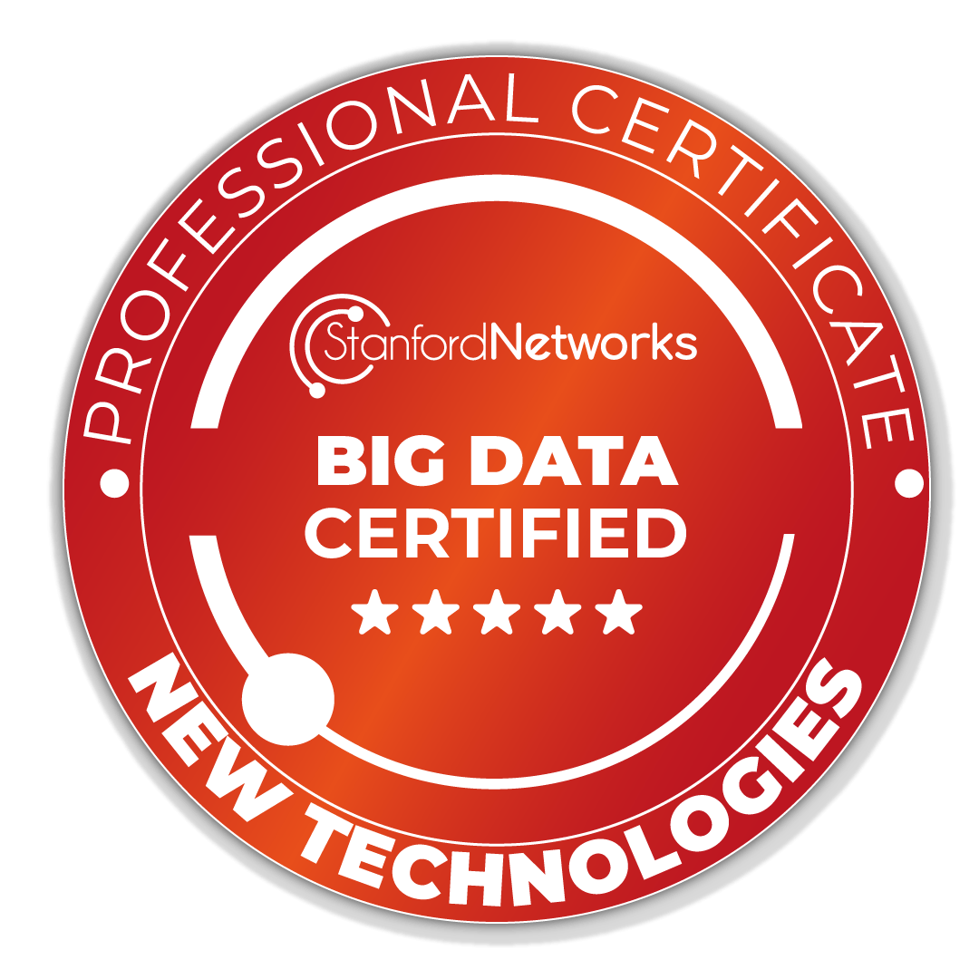 Big-Data-Professional